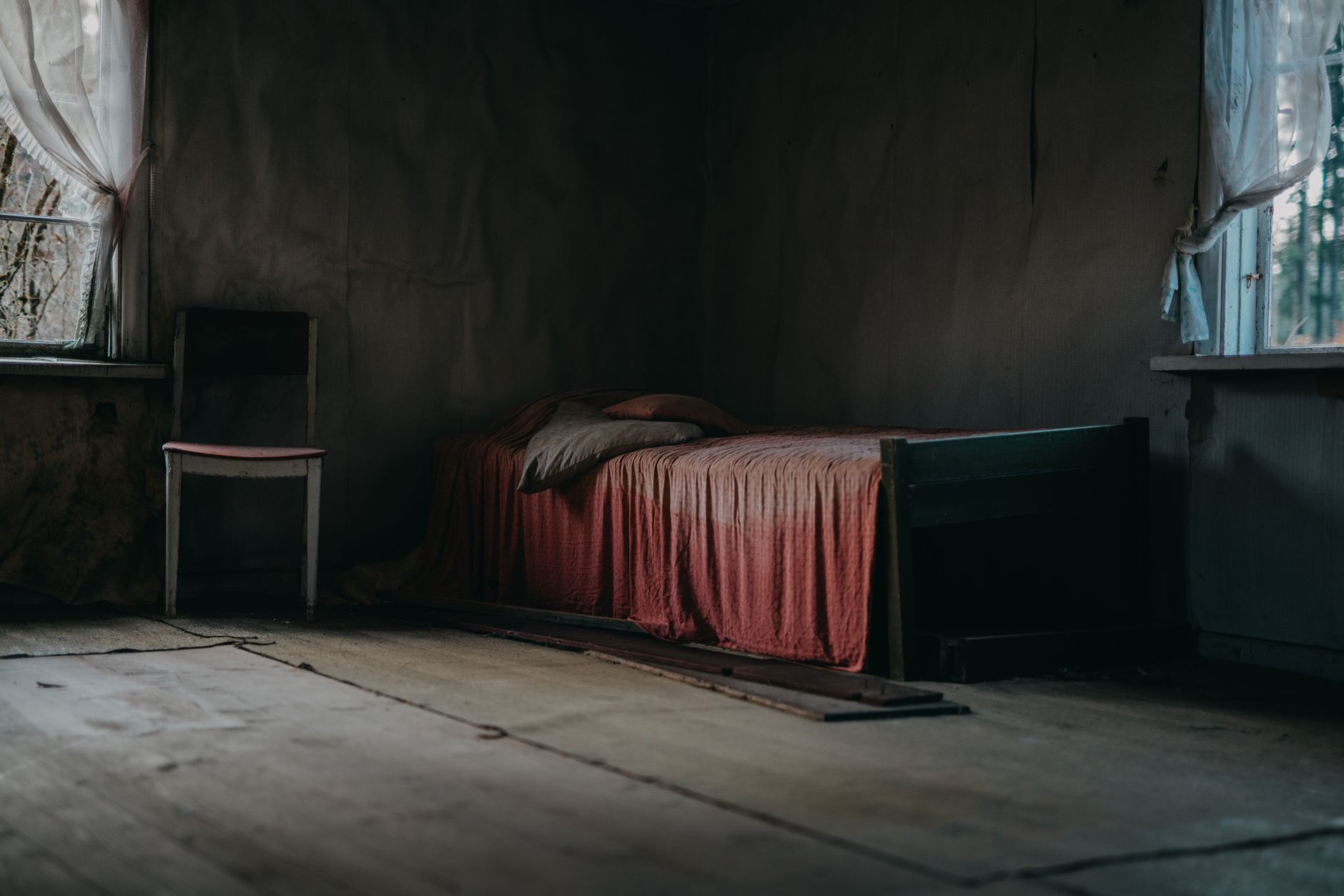 Traitement punaises de lit à Le Cannet